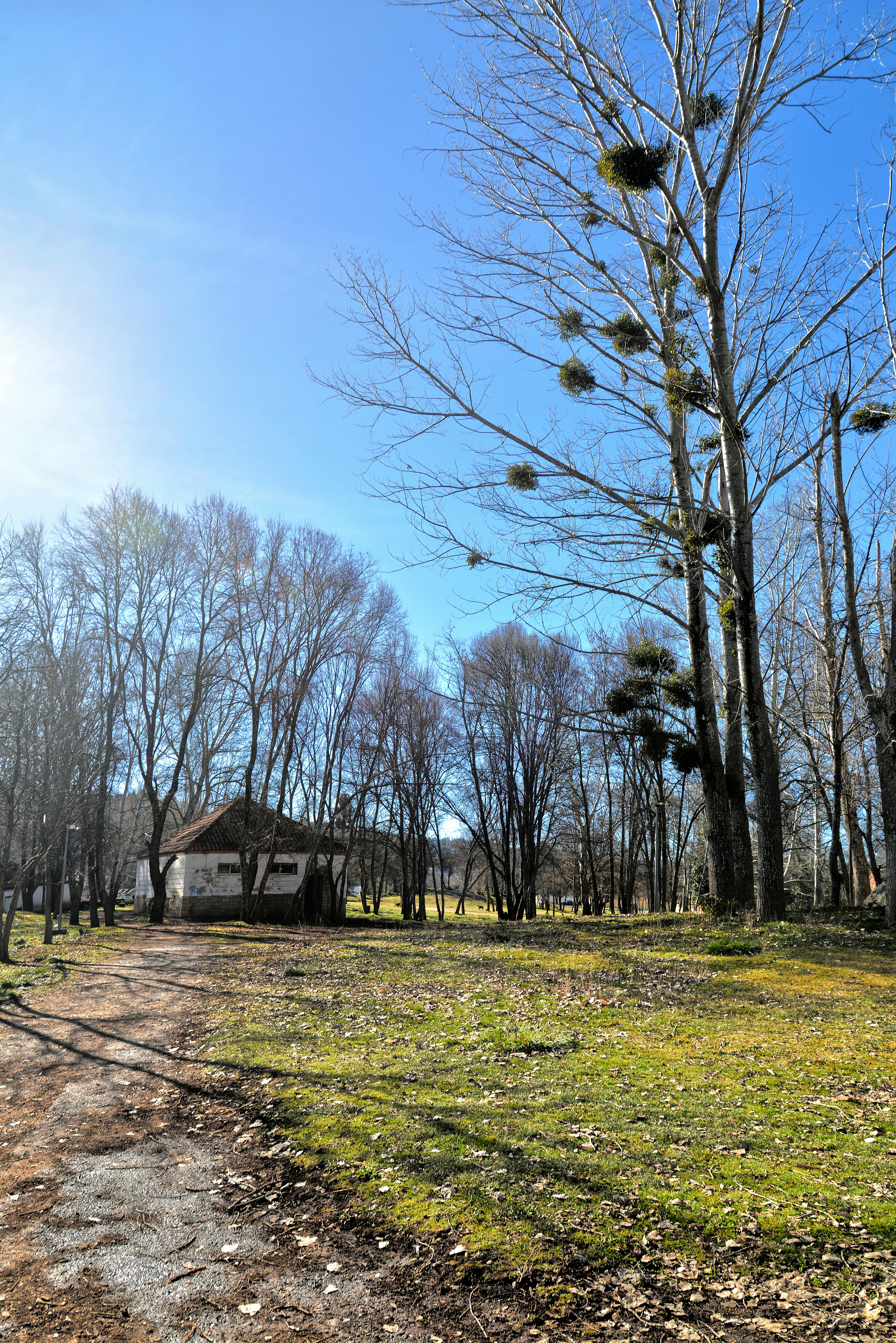 7-Day Middle Atlas Villages & Culture Immersion - Image 4